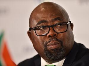 Thulas Nxesi: I experienced Israeli discrimination and occupation when I was denied entry to Palestine in 2012.