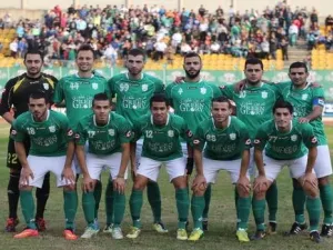 فريق الأنصار