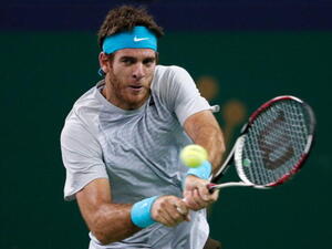 خوان مارتن ديل بوترو