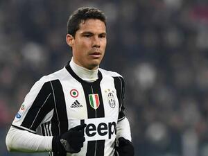 أندرسون هيرنانيش