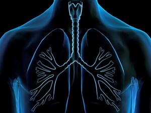 Photo: indianexpress.com