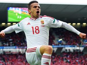 شتايبر يحتفل بهدفه