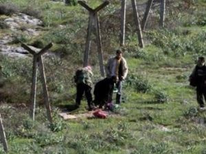  أكثر من 24 شخصا أصيبوا مساء السبت بعد أن فتحت القوات السورية النار