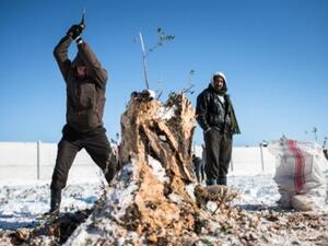 مطالب المستوطنين في الجولان وميليشيا "فرق التأهب" بتزويدهم بالسلاح والتدرب عليه