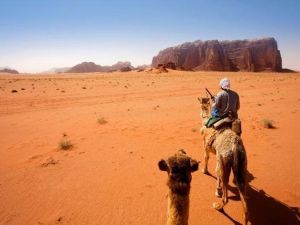 Wadi Rum also known as The Valley of the Moon is a valley cut into the sandstone and granite rock in southern Jordan 60 km to the east of Aqaba; it is the largest wadi in Jordan. (AFP/File)