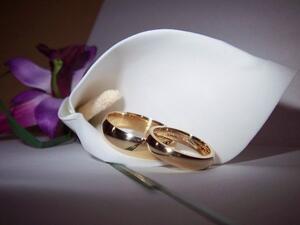 قال الرسول الكريم: إذا جاءكم من ترضون خلقه ودينه فزوجوه