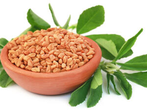 تمنح حبوب الحلبة ضعيفي البنية القوة، وتحميهم من فقر الدم 