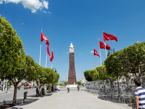 Tunis, the capital of Tunisia. (Shutterstock)