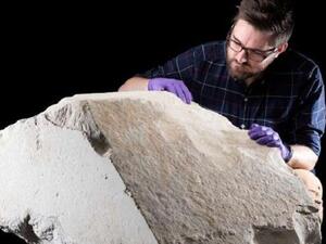 حجر نادر يعود لهرم خوفو الأكبر