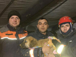 Turkish rescue workers posed with the pup after he was removed from the well. (Twitter)