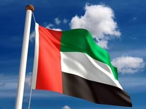 UAE Flag (AFP/File Photo)	