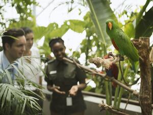 The Green Planet will not just be a place to escape the arid Dubai heat but to also learn about how a rainforest works. (Twitter) The Green Planet will not just be a place to escape the arid Dubai heat but to also learn about how a rainforest works. (Twitter)