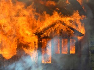 (Shutterstock/ File Photo)