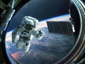 The first Emirati astronaut's space flight will be for 10 days to launch in April of 2019. (Twitter)