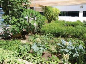 Courtesy: Dubai Police