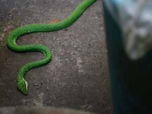 (Shutterstock/ File Photo)