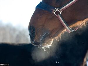 (Shutterstock/ File Photo)