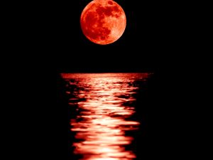 (Shutterstock/ File Photo)