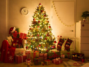 (Shutterstock/ File Photo)