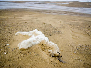 (Shutterstock/ File Photo)