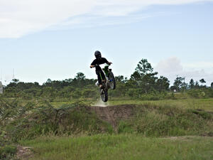 (Shutterstock/ File)