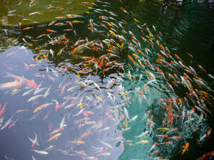 (Shutterstock/ File Photo)