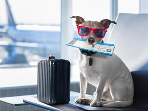 (Shutterstock/ File Photo)