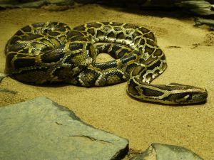 (Shutterstock/ File)