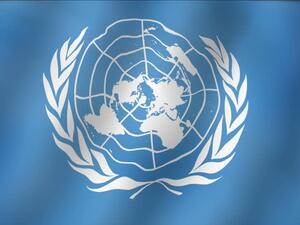 The United Nations flag. (Shutterstock)