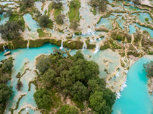 Known for its annual monsoons, banana plantations, and sandy beaches, the lush green city is a must-see for all nature lovers. (Shutterstock)