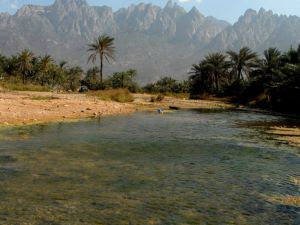 Yemeni government and the United Arab Emirates agreed on a deal for the UAE forces to withdraw from the strategic Socotra Island. (AFP/ File Photo)