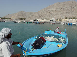 Oman plans to invest $1.3 billion in fisheries development up to 2020 (Courtesy of the BBC)