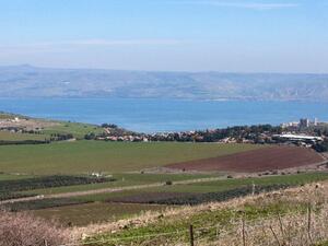 An area of green farmland in the Galilee. (AFP/File)