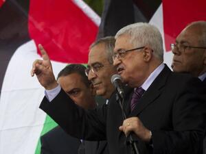 ثمن عباس الدور الذي تقوم به مصر