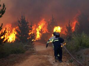 Fire spread in South Indian state of Tamil Nadu killing at least 11 people. (AFP/ File Photo)