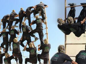 حركة أحرار الشام الإسلامية