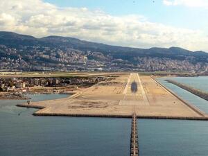 كيف بتكش النورس!