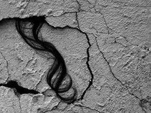 شعر الضحية فقط نجا من تحت الركام 