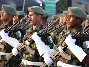 الجيش الجزائري قتل 11 ارهابيا خلال الايام الماضية 