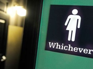 طلبت المحكمة الدستورية الألمانية تشريع "جنس ثالث" وإدراجها كخانة في استمارة تسجيل المواليد