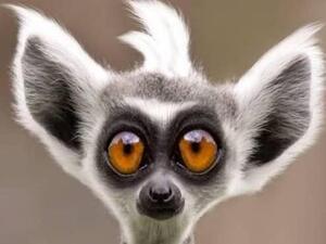 انا متفاجيء..