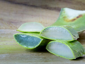 الصبار فعّال في علاج الصدفية (shutterstock.com)