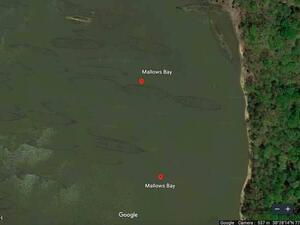 ظهر "الأسطول الشبح" من السفن الخشبية إلى العيان
