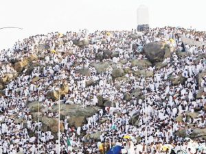 وقفة عرفة تتزامن مع تساوي النهار والليل