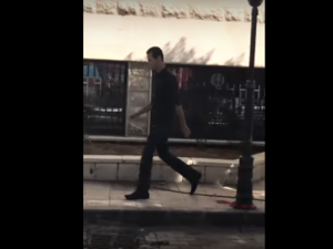 الأسد يسير وحيدا 