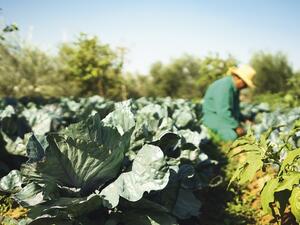 فندق موﭭنبيك شرم الشيخ