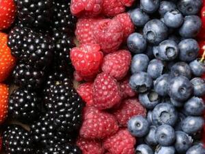 الفواكه والخضراوات الداكنة تساعد في حماية الرئتين من التلف