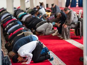 المجلس المركزي لمسلمي المانيا يأسف لمشاركة برلين العسكرية في سوريا
