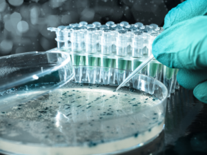 Biotech is a booming industry worldwide. (Shutterstock)