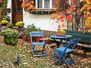 العيش قرب الحدائق المليئة بالطيور يقلل الشعور بالإجهاد